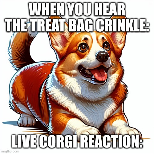 I just put in "live corgi reaction" and this is what spurned out | WHEN YOU HEAR THE TREAT BAG CRINKLE:; LIVE CORGI REACTION: | made w/ Imgflip meme maker