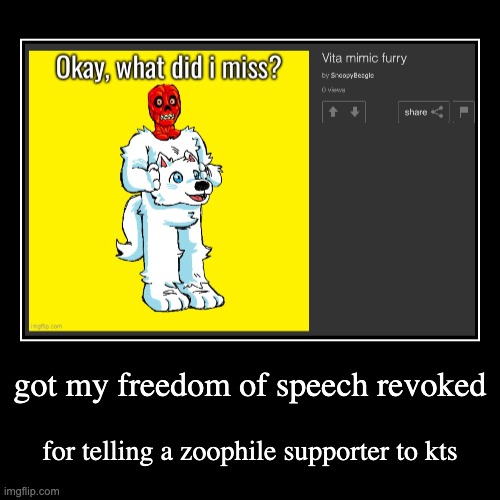 other than that idk | got my freedom of speech revoked | for telling a zoophile supporter to kts | image tagged in demotivationals | made w/ Imgflip demotivational maker