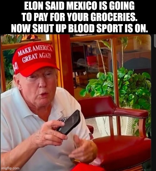 President Elon Said | ELON SAID MEXICO IS GOING TO PAY FOR YOUR GROCERIES. NOW SHUT UP BLOOD SPORT IS ON. | image tagged in donald trump,elon musk | made w/ Imgflip meme maker