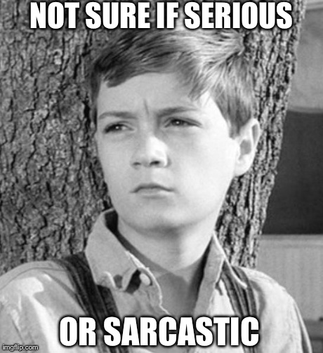 NOT SURE IF SERIOUS OR SARCASTIC | image tagged in not sure if | made w/ Imgflip meme maker