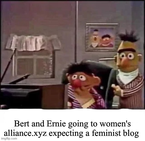 Stole your meme | Bert and Ernie going to women's alliance.xyz expecting a feminist blog | image tagged in stole your meme | made w/ Imgflip meme maker