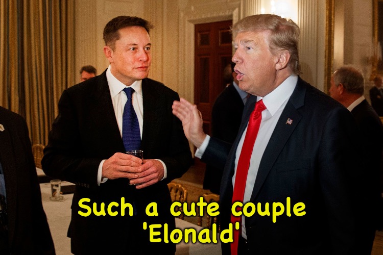 Jimmy Fallon coined this one | Such a cute couple
'Elonald' | image tagged in trump and elon musk | made w/ Imgflip meme maker