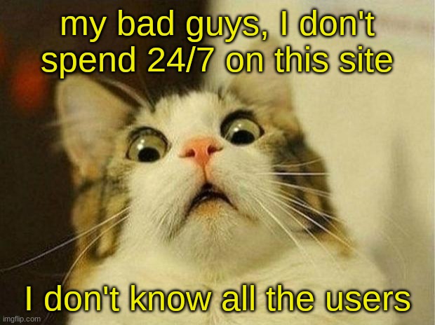 Scared Cat | my bad guys, I don't spend 24/7 on this site; I don't know all the users | image tagged in memes,scared cat | made w/ Imgflip meme maker