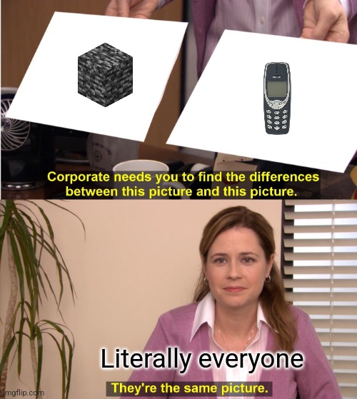 They're The Same Picture Meme | Literally everyone | image tagged in memes,they're the same picture | made w/ Imgflip meme maker