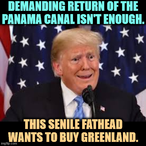 It's not for sale. | DEMANDING RETURN OF THE PANAMA CANAL ISN'T ENOUGH. THIS SENILE FATHEAD WANTS TO BUY GREENLAND. | image tagged in trump fear tears dilated,trump,embarrassing,frontotemporal dementia,senile,incompetence | made w/ Imgflip meme maker