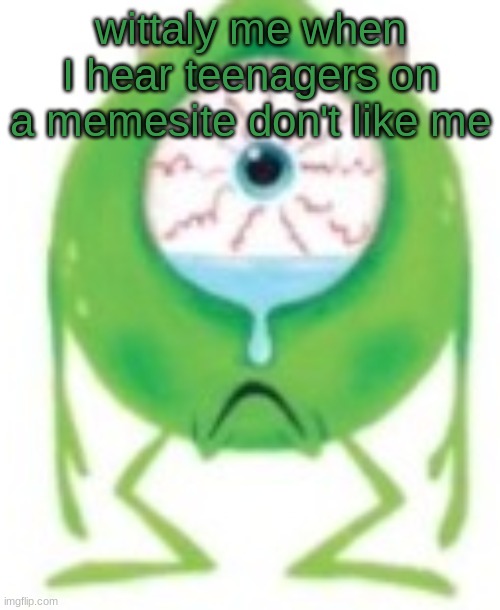 Mike cry? | wittaly me when I hear teenagers on a memesite don't like me | image tagged in mike cry | made w/ Imgflip meme maker