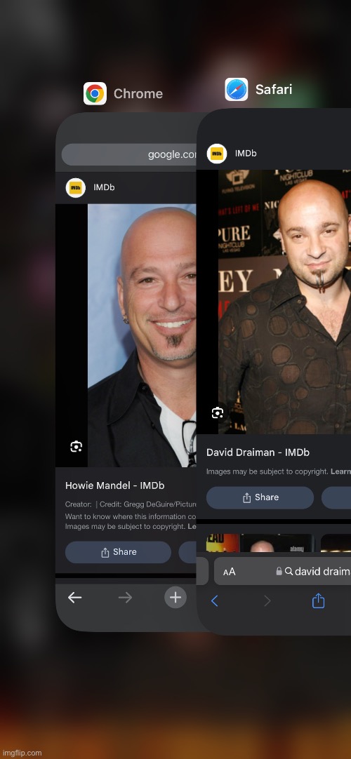 Lookalikes | image tagged in lookalike | made w/ Imgflip meme maker