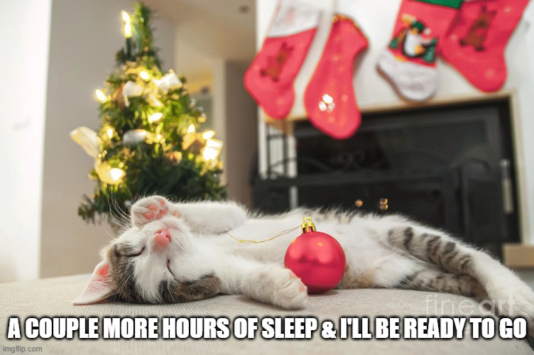 memes by Brad - The cat only needs a couple more hours of sleep - humor - | A COUPLE MORE HOURS OF SLEEP & I'LL BE READY TO GO | image tagged in cats,kittens,funny,cute kitten,sleeping cat,christmas | made w/ Imgflip meme maker