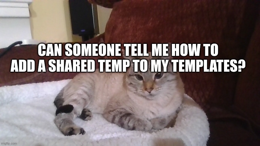 judging cat (it's my cat) | CAN SOMEONE TELL ME HOW TO ADD A SHARED TEMP TO MY TEMPLATES? | image tagged in judging cat it's my cat | made w/ Imgflip meme maker