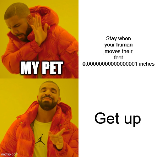 petmeme | Stay when your human moves their feet 0.00000000000000001 inches; MY PET; Get up | image tagged in memes,drake hotline bling | made w/ Imgflip meme maker