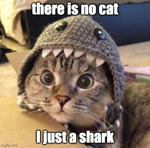 Shark Cat | there is no cat; I just a shark | image tagged in shark cat,shark,cat,cute cat,nala cat | made w/ Imgflip meme maker