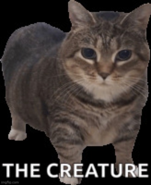 the creature | image tagged in the creature | made w/ Imgflip meme maker