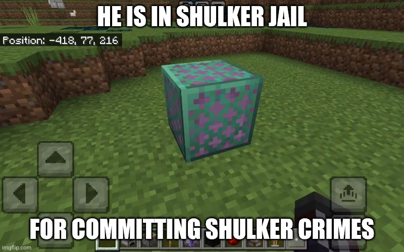 Shulker jail | HE IS IN SHULKER JAIL; FOR COMMITTING SHULKER CRIMES | image tagged in jail,shulker | made w/ Imgflip meme maker