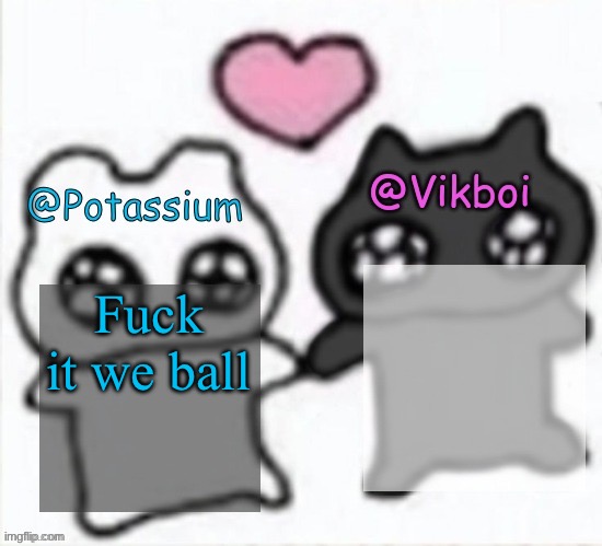 Potassium and Vikboi shared announcement template | Fuck it we ball | image tagged in potassium and vikboi shared announcement template | made w/ Imgflip meme maker