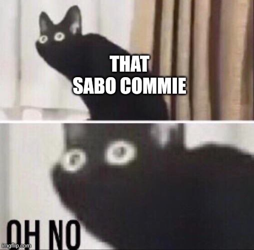 Oh no cat | THAT SABO COMMIE | image tagged in oh no cat | made w/ Imgflip meme maker