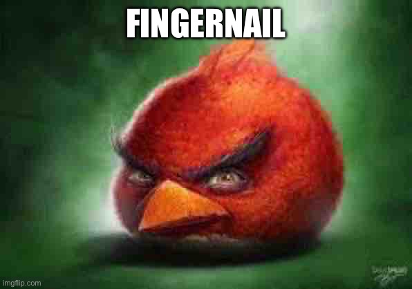 A | FINGERNAIL | image tagged in realistic red angry birds | made w/ Imgflip meme maker