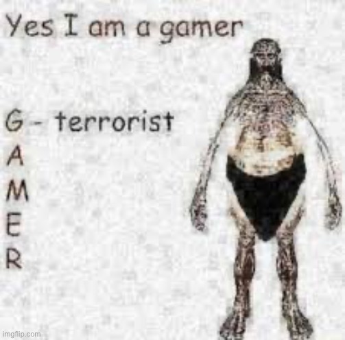 Yes, I am a gamer | image tagged in yes i am a gamer | made w/ Imgflip meme maker