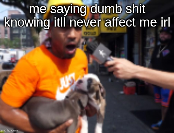 bingbong | me saying dumb shit knowing itll never affect me irl | image tagged in bingbong | made w/ Imgflip meme maker