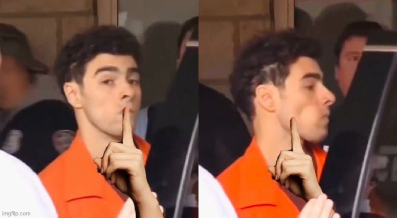 Luigi Blank Meme Template