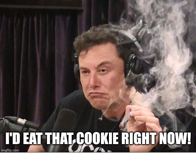 Elon Musk smoking a joint | I'D EAT THAT COOKIE RIGHT NOW! | image tagged in elon musk smoking a joint | made w/ Imgflip meme maker