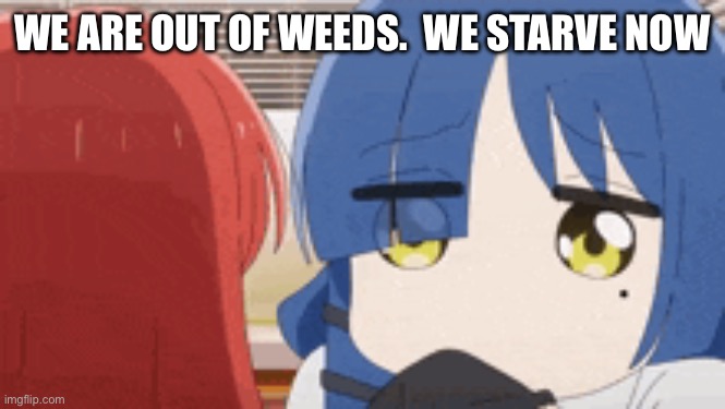 Ah we’re cooked | WE ARE OUT OF WEEDS.  WE STARVE NOW | image tagged in ryo paypal | made w/ Imgflip meme maker