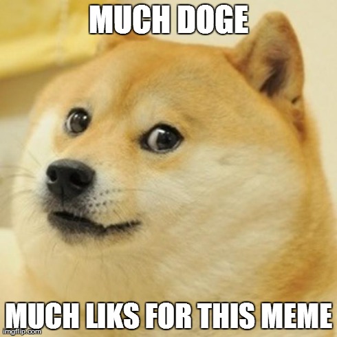 Doge Meme | MUCH DOGE MUCH LIKS FOR THIS MEME | image tagged in memes,doge | made w/ Imgflip meme maker