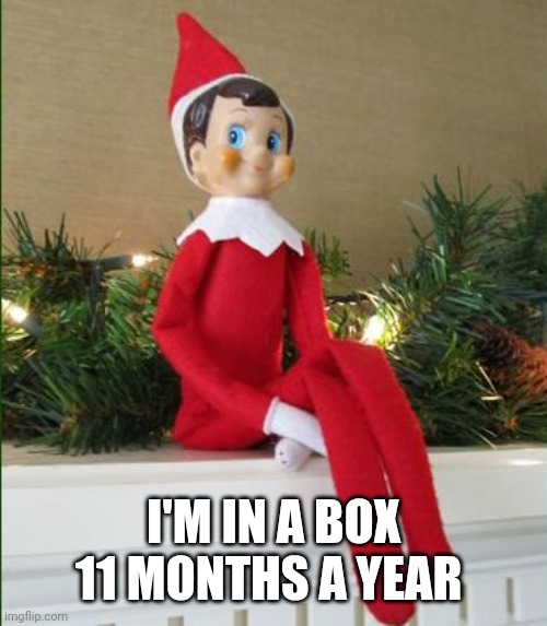 Elf on a Shelf | I'M IN A BOX 11 MONTHS A YEAR | image tagged in elf on a shelf | made w/ Imgflip meme maker