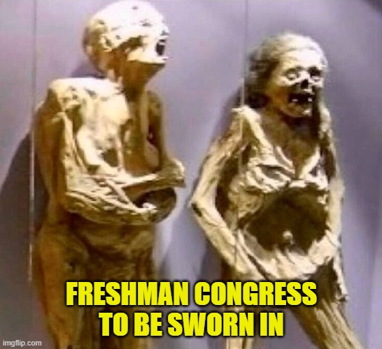 Freshmans waiting to be sworn in | FRESHMAN CONGRESS
TO BE SWORN IN | image tagged in congress,senate,grim reaper knocking door,mitch mcconnell,nancy pelosi,dementia | made w/ Imgflip meme maker