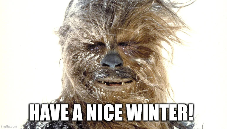 winter | HAVE A NICE WINTER! | image tagged in winter,winter is here,cold weather,chewbacca,freezing cold | made w/ Imgflip meme maker