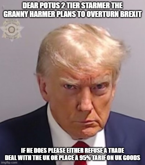 Donald Trump Mugshot | DEAR POTUS 2 TIER STARMER THE GRANNY HARMER PLANS TO OVERTURN BREXIT; IF HE DOES PLEASE EITHER REFUSE A TRADE DEAL WITH THE UK OR PLACE A 95% TARIF ON UK GOODS | image tagged in donald trump mugshot | made w/ Imgflip meme maker