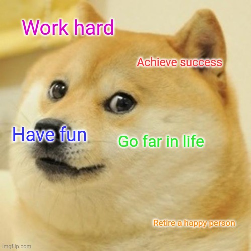 Life | Work hard; Achieve success; Have fun; Go far in life; Retire a happy person | image tagged in memes,doge,funny memes | made w/ Imgflip meme maker