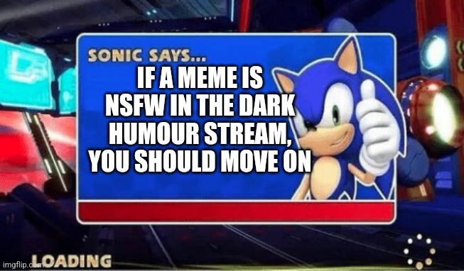 Image Title | IF A MEME IS NSFW IN THE DARK HUMOUR STREAM, YOU SHOULD MOVE ON | image tagged in sonic says | made w/ Imgflip meme maker