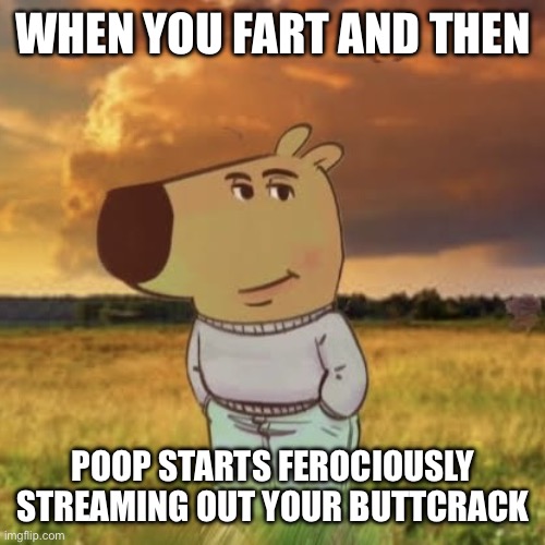 Real | WHEN YOU FART AND THEN; POOP STARTS FEROCIOUSLY STREAMING OUT YOUR BUTTCRACK | image tagged in chill guy,poop,streaming | made w/ Imgflip meme maker