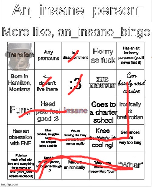 An_insane_bingo (December 2024) | image tagged in an_insane_bingo december 2024 | made w/ Imgflip meme maker