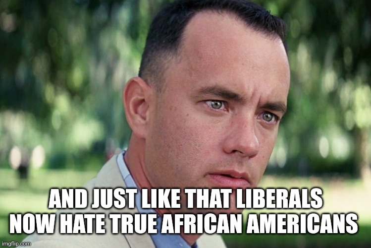 And Just Like That Meme | AND JUST LIKE THAT LIBERALS NOW HATE TRUE AFRICAN AMERICANS | image tagged in memes,and just like that | made w/ Imgflip meme maker