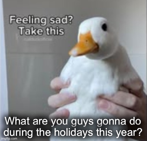 Myself, I’ll be just at home to build a snow fortress. | What are you guys gonna do during the holidays this year? | image tagged in holy duck | made w/ Imgflip meme maker