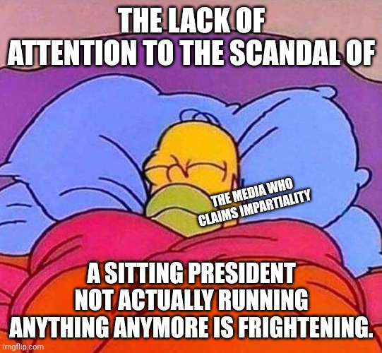 Homer Simpson sleeping peacefully | THE LACK OF ATTENTION TO THE SCANDAL OF A SITTING PRESIDENT NOT ACTUALLY RUNNING ANYTHING ANYMORE IS FRIGHTENING. THE MEDIA WHO CLAIMS IMPAR | image tagged in homer simpson sleeping peacefully | made w/ Imgflip meme maker