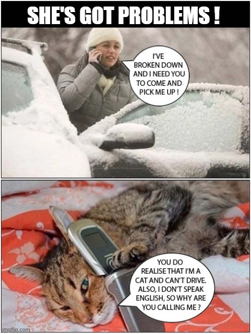 Car Troubles  - Who Y'Gonna Call ? | SHE'S GOT PROBLEMS ! | image tagged in cats,car troubles,phone | made w/ Imgflip meme maker