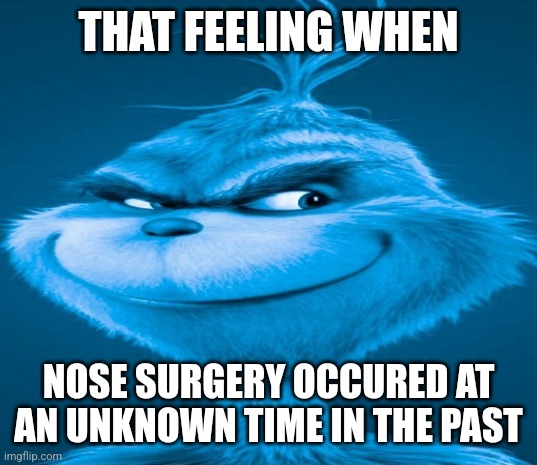 Blue Grinch | THAT FEELING WHEN NOSE SURGERY OCCURED AT AN UNKNOWN TIME IN THE PAST | image tagged in blue grinch | made w/ Imgflip meme maker