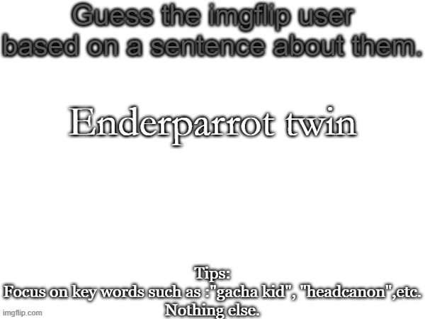 Guess the imgflip user based on a sentence about them | Enderparrot twin | image tagged in guess the imgflip user based on a sentence about them,memes,msmg | made w/ Imgflip meme maker