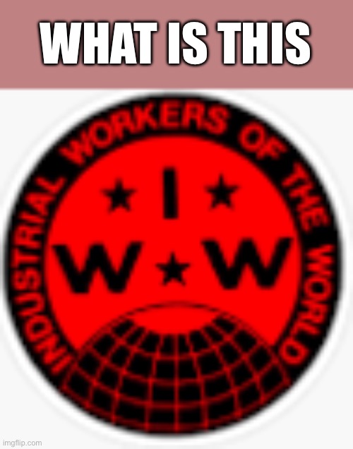 IWW logo | WHAT IS THIS | image tagged in iww logo | made w/ Imgflip meme maker