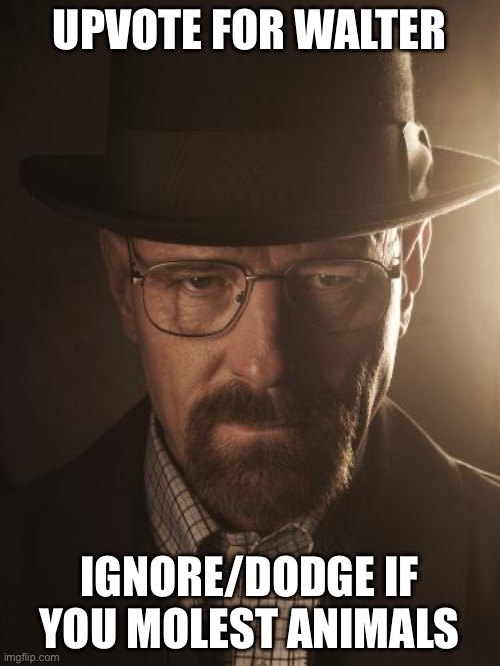 Walter White | UPVOTE FOR WALTER IGNORE/DODGE IF YOU MOLEST ANIMALS | image tagged in walter white | made w/ Imgflip meme maker