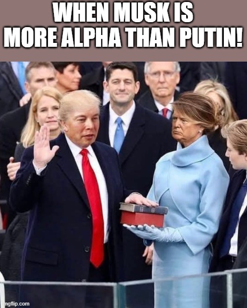 Beta Donny | WHEN MUSK IS MORE ALPHA THAN PUTIN! | image tagged in trump,donald trump,elon musk,nevertrump,nevertrump meme,conservative | made w/ Imgflip meme maker