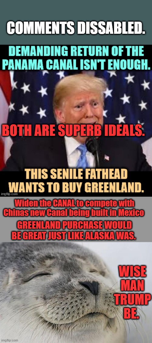 COMMENTS DISSABLED. BOTH ARE SUPERB IDEALS. Widen the CANAL to compete with Chinas new Canal being built in Mexico; GREENLAND PURCHASE WOULD BE GREAT JUST LIKE ALASKA WAS. WISE MAN TRUMP BE. | image tagged in memes,satisfied seal | made w/ Imgflip meme maker