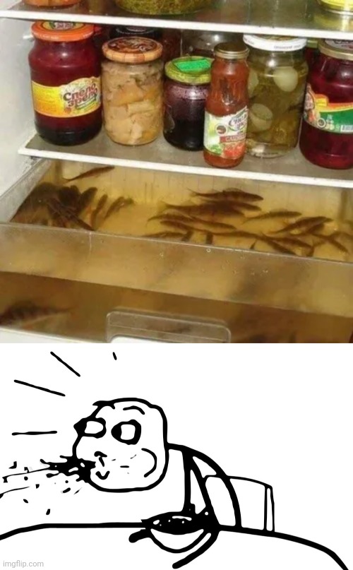 Aquarium | image tagged in cereal guy spitting,aquarium,cursed image,memes,foods,fridge | made w/ Imgflip meme maker