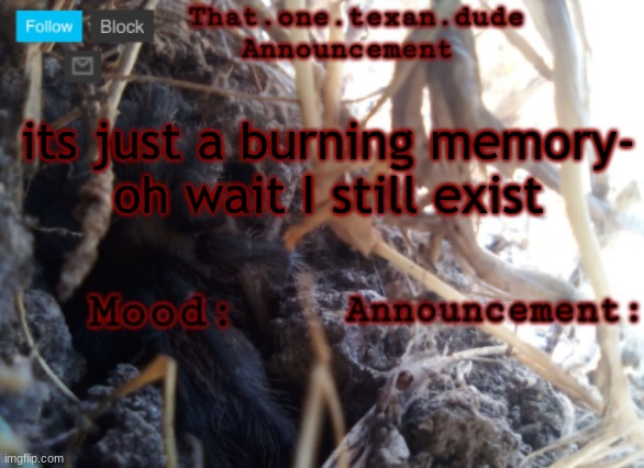 THE that.one.texan.dude announcement template | its just a burning memory-
oh wait I still exist | image tagged in the that one texan dude announcement template | made w/ Imgflip meme maker