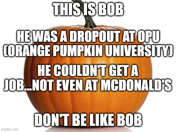 Don't be like Bob the pumpkin | THIS IS BOB; HE WAS A DROPOUT AT OPU
(ORANGE PUMPKIN UNIVERSITY); HE COULDN'T GET A JOB...NOT EVEN AT MCDONALD'S; DON'T BE LIKE BOB | image tagged in pumpkin | made w/ Imgflip meme maker