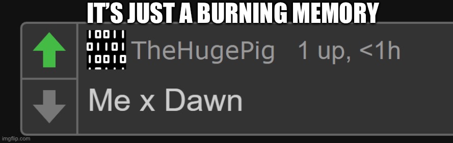 TheHugePig: "Me X Dawn" | IT’S JUST A BURNING MEMORY | image tagged in thehugepig me x dawn | made w/ Imgflip meme maker