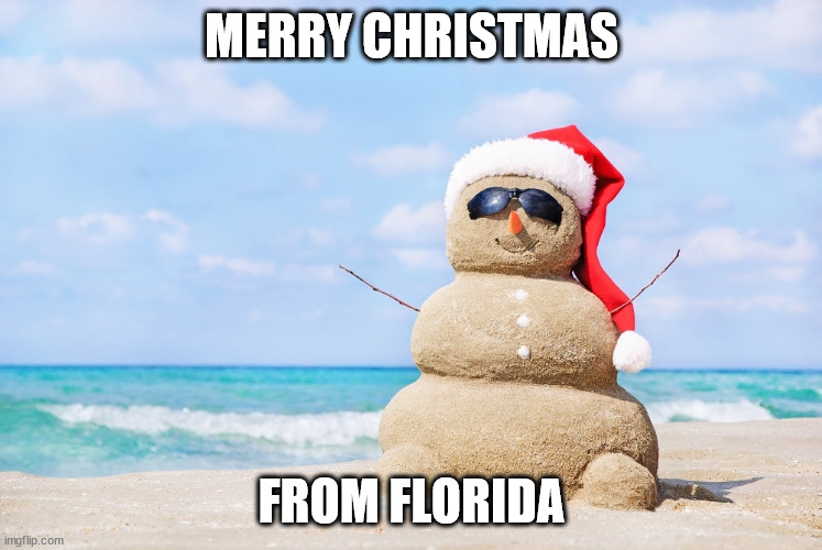 Florida | MERRY CHRISTMAS; FROM FLORIDA | image tagged in snowman | made w/ Imgflip meme maker