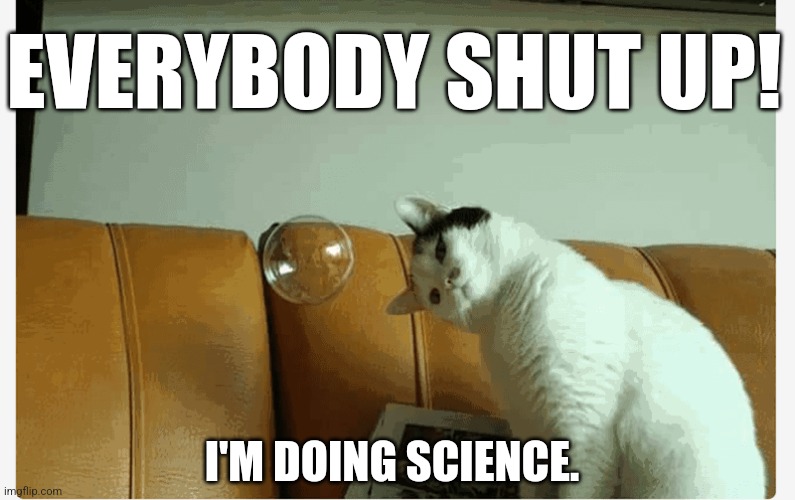 The science | EVERYBODY SHUT UP! I'M DOING SCIENCE. | image tagged in cats,cute cat | made w/ Imgflip meme maker